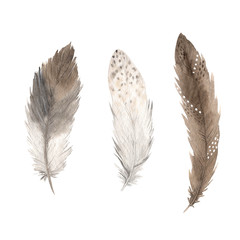 Watercolor boho colorful feathers set
