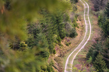 Picturesque landscape of a knurled road on a mountainside in the German Forest Schwarzwald,...
