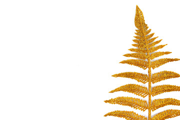 Gold coloured fern branch isolated on white background. Greeting card. Place for text