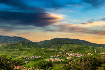 Fototapeta na wymiar Wine region in the Wachau valley with many wineyards. In the background hill landscape scenery and Spitz village. Lower Austria.