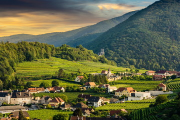 Obraz premium View over the village of Spitz on Danube river and vineyard landscape of Wachau, Lower Austria.