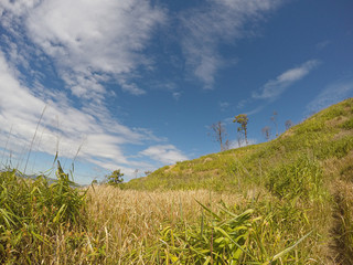 view landscape nature at the mountain