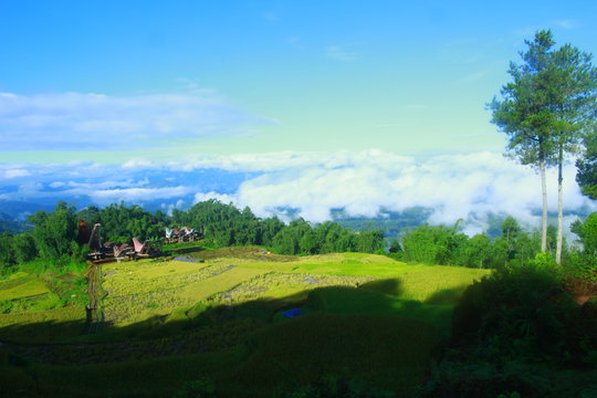 Bamba, Buntu Tagari, Toraja, Indonesia