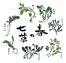 Spring herb (haru no nanakusa) Hand drawn
