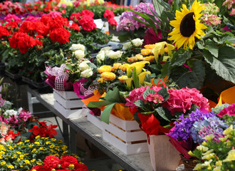 many colorful flowers on display in a nursery