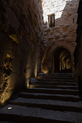 Fototapeta premium Ajloun Castle in north-western Jordan. Arab and crusaders fort.