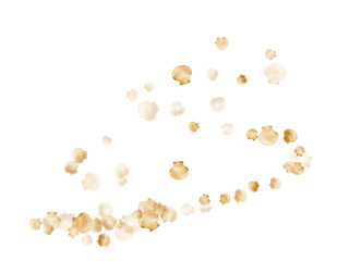 Gold seashells vector background, golden pearl bivalved mollusks. 
