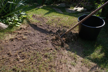 regeneration of a damaged lawn - preparation for feeding