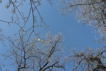 nature