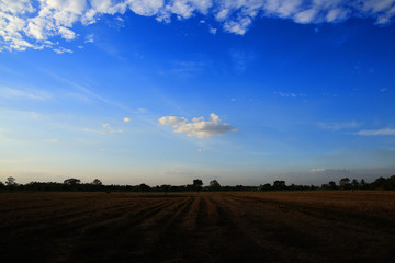 Obraz premium a single cloud in a clear sky scene surrounded by glove of clouds. low hanging cloud over a harvested rice field.