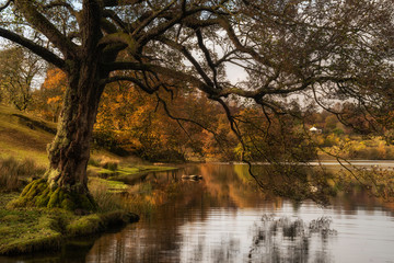 Fototapeta na wymiar Stunning Autumn Fall landscape of lake in stunning sunrise soft light in English countryside