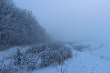 winter landscape with fog and trees