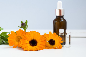 Obraz na płótnie Canvas Fresh orange flowers of calendula officinalis and bottles of cosmetic oils. close-up on a light background. The concept of cosmetology. copy space