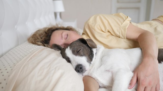 Young Woman Sleeping With Her Pet Dog In Bed