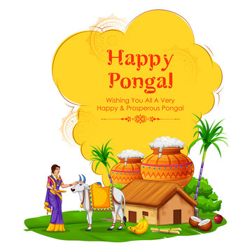 illustration of Happy Pongal Holiday Harvest Festival of Tamil Nadu South India greeting background
