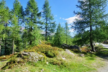 Herbst in den Bergen