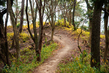 Naklejka premium 神戸・裏山の古道、トレッキングコースから