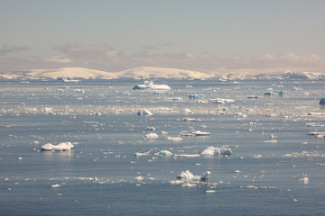 Ice in Antarctica  © Bruce
