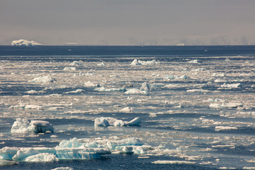 Ice flows in Antarctica 