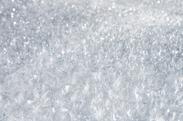 Snow background with detailed snowflakes. A macro photo of real snow crystals: large stellar dendrites with hexagonal symmetry, long elegant patterns and delicate transparent structures