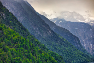 Berge in der Luftperspektive mit grünen Bäumen - Grün bis Grau