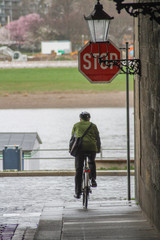 Fototapeta premium Fahrradfahrer fährt auf einem Stopschild zu - Vorfahrt genommen Stopschild Unfall