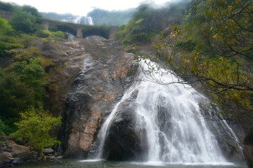 Fototapeta na wymiar Dudhsagar waterfall in goa , India