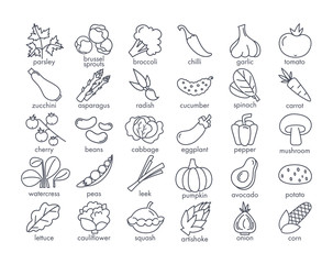 Large set of named black and white vegetables on white for use as design elements for food and nutrition themes, vector illustration