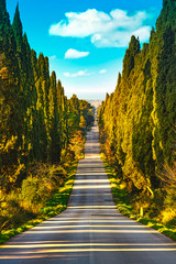 Fototapeta na wymiar Bolgheri famous cypresses tree straight boulevard. Maremma, Tuscany, Italy
