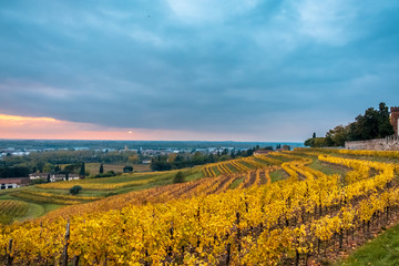 Autumn sunset in the vineyards of Collio Friulano