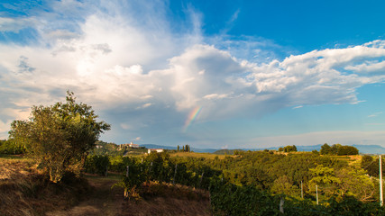Fototapeta na wymiar Sunset in the vineyards of Rosazzo after the storm