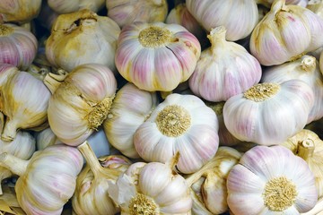 Fresh garlic at a farmers market
