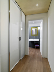 interior shot of a modern corridor in the attic on the background there is a bathroom while floor is made of wood on the left the wall cupboard with glass doors