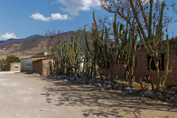 Pylista droga gruntowa idąca przez małą wioskę