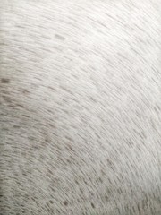 The abstract image is a black line that turns into a curved line.