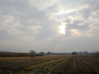 日本の風景