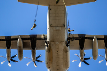 Military parachutist paratroopers jumping out of an American transport plane