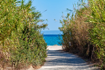 A dirt road to a wild beach