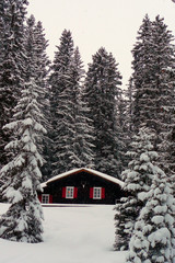 Oberlech Lech am Arlberg Vorarlberg Austrian Alps Austria
