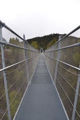 Suspension bridge in the Alps