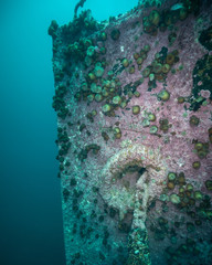 Bell Island ship wreck Newfoundland Canada