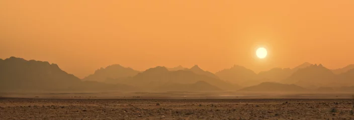 Poster Sonnenuntergang in der Wüste Sahara © Nataliya Hora