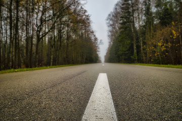 road in the forest