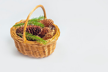 Fototapeta na wymiar Basket with cones isolated on a white background. Christmas, winter holidays, new year concept. The concept of making crafts from the gifts of nature. Top view, flat lay, copy space for text.