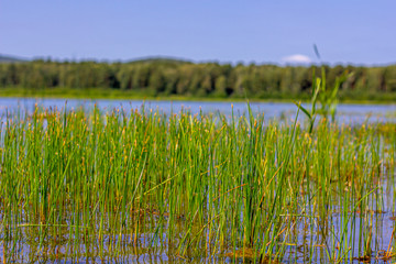 Lake landscape. The view on a green mountains on a sunny summer day.