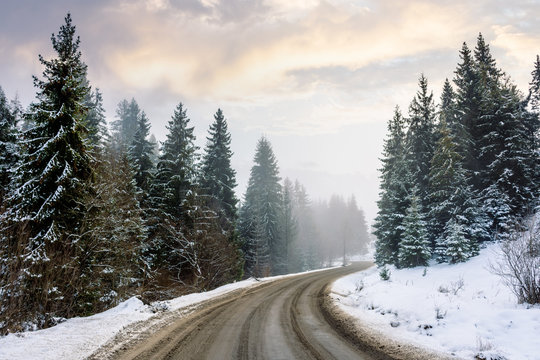 country road through forest. misty winter weather in the morning. snow on the roadside. overcast sky