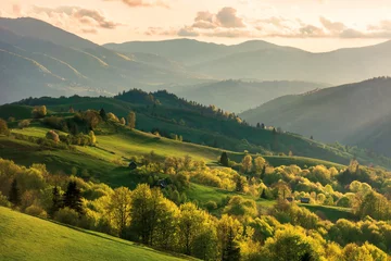 Foto op Plexiglas bergachtig landschap bij zonsondergang. landschap met met gras begroeide landelijke velden en bomen op heuvels die in avondlicht in de verte rollen. verre bergkam en vallei in nevel. fantastisch landschap in de lente © Pellinni