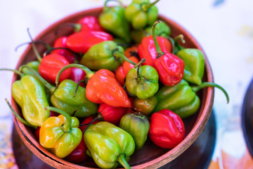 piment de toutes les couleurs