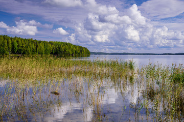 Beautiful forest lake in Finland. Traditional Finnish nature, beautiful summer landscape.