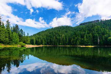 Fototapeta na wymiar mountain lake in summertime. great outdoor nature scenery. coniferous forest with tall trees on the shore reflecting in clear water. deep blue sky with clouds. beautiful landscape